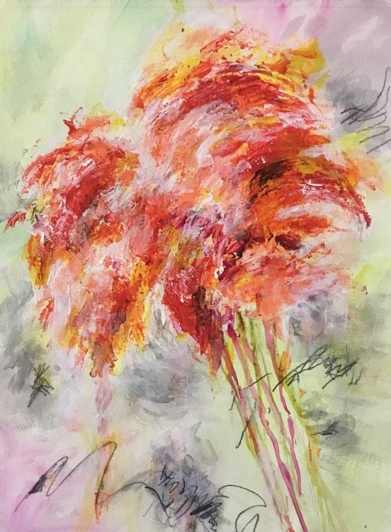 Gladiolus