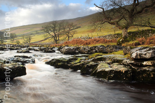 Langstroth Dale