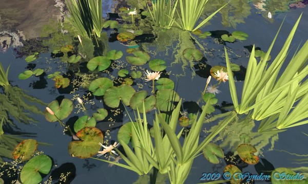 Second Lillypads