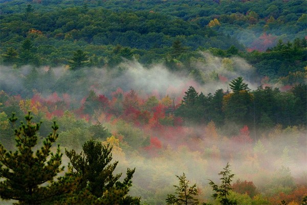 Fog near Appalachian Trail near Monroe, NY