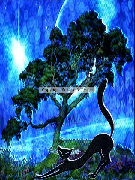 puurfect kity 6