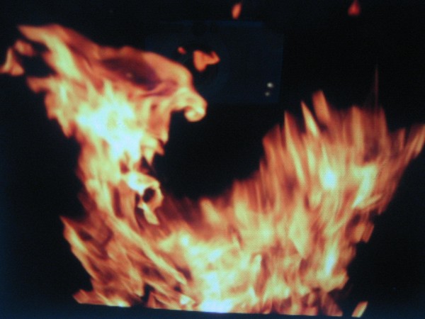 Fire bird