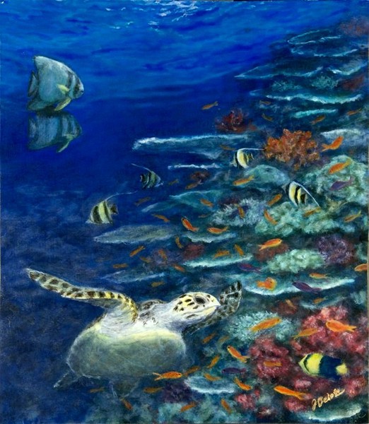 Turtle with batfish