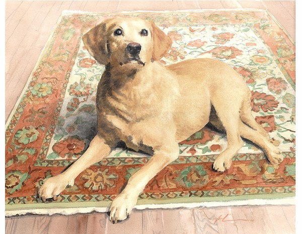 yellow lab watercolor portrait