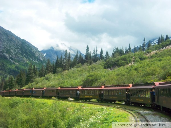 Train Ride to the Yukon of Alaska