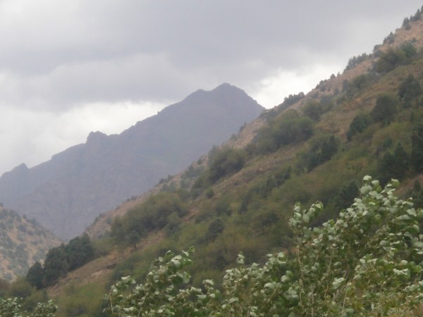mountains