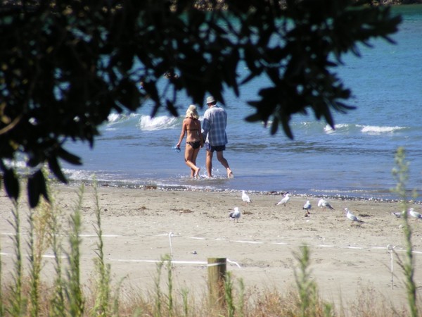 Beach walks