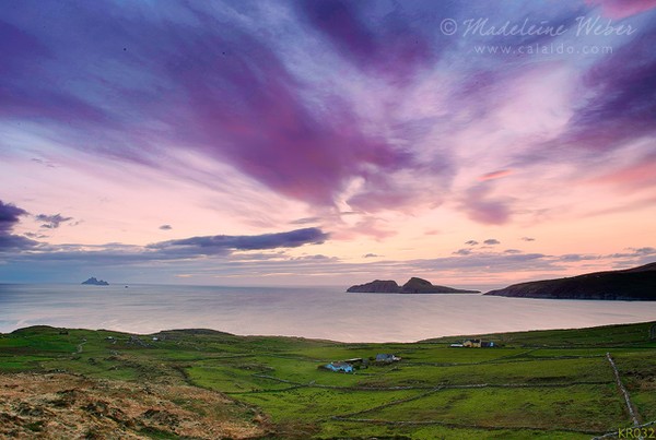 • Puffin Island, Ring of Kerry, Ireland