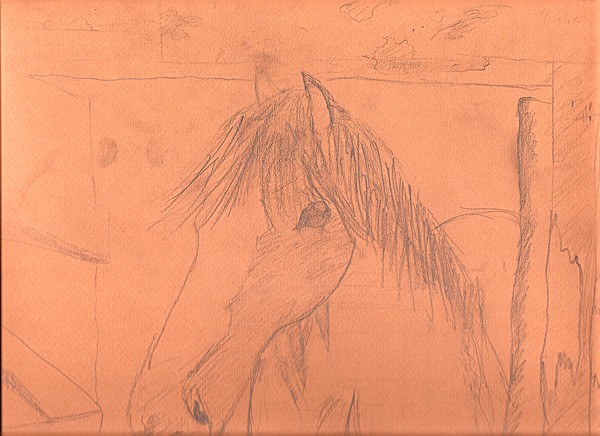 Horse