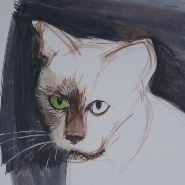 Le Chat