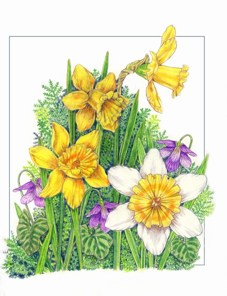 spring mix