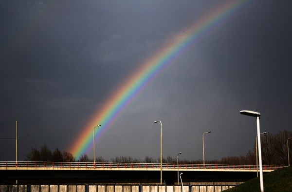 Rainbow #2
