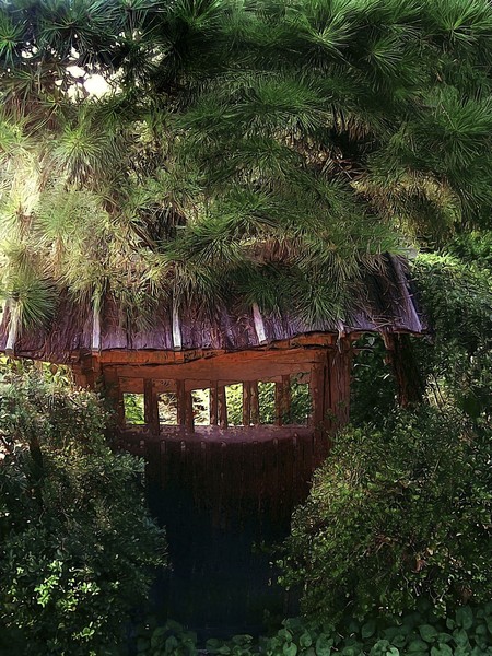 Forest Gate