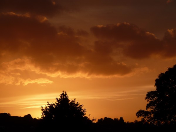 Golden Light