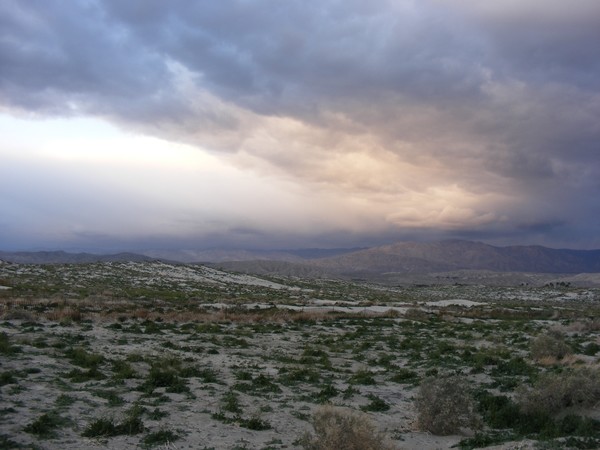 desert scene