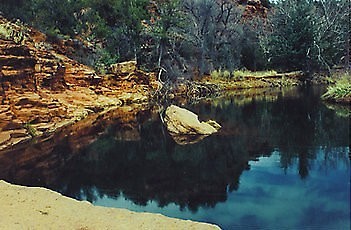 Thinking Spot