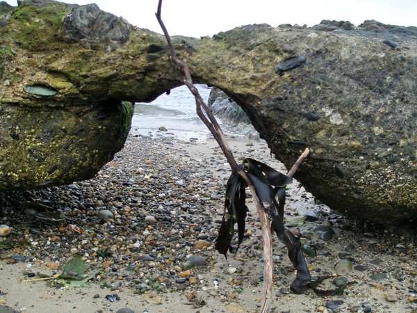 Beached