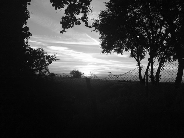 On the other side of the fence