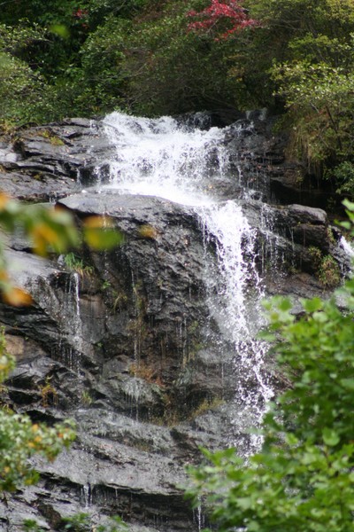 The Falls 2396