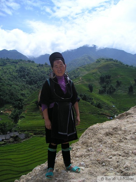 Sapa