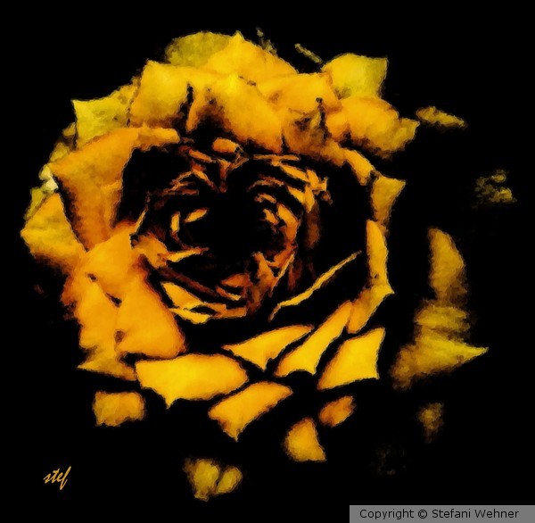 antic rose
