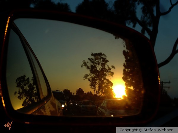 followed by the sun