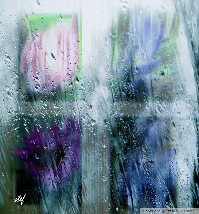 rainy summerday