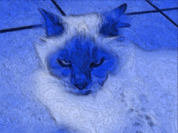 Rangoon in blue