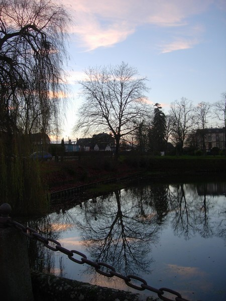 Reflection