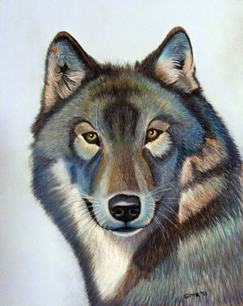 Wolf portrait soft pastel