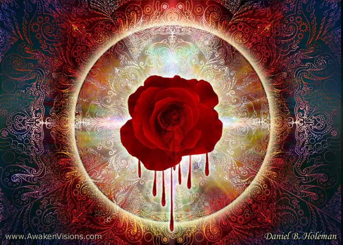 H107BleedingRose 5x7