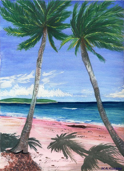 Two Palms