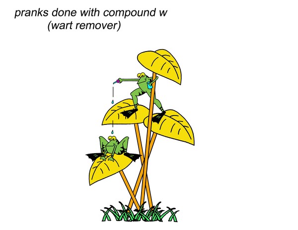 compound w