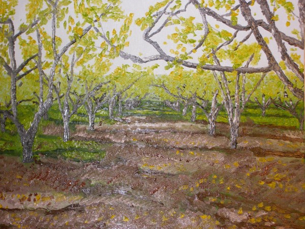 Apple Orchard