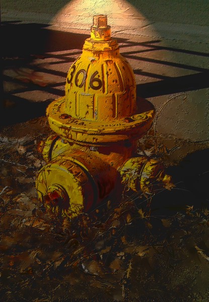 Little Fire Chief 306