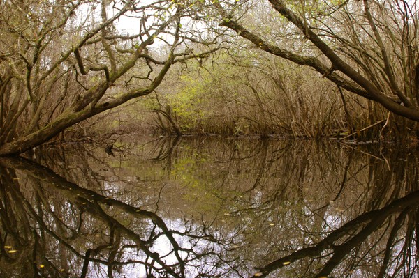 Symmetry