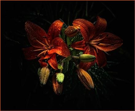 flowers-004
