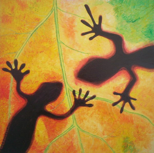 Geckos