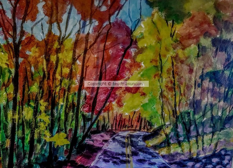 Sideroad Shade
