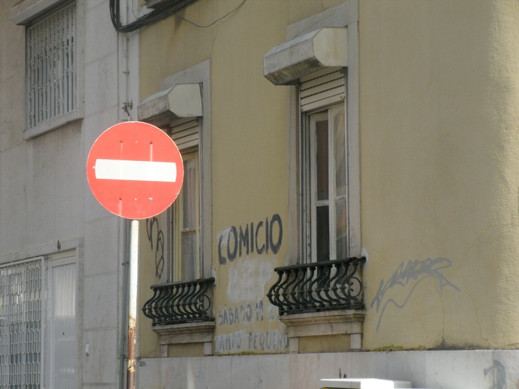 08-SDC11533