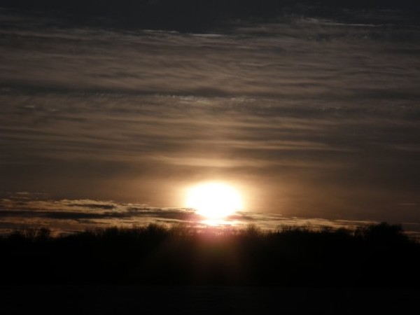 northern sun
