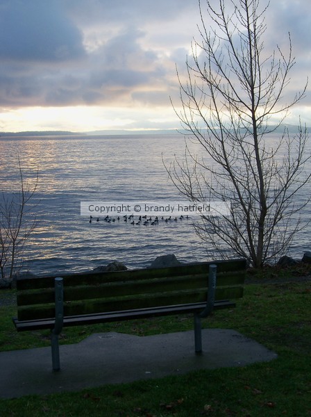 Serenity is a View