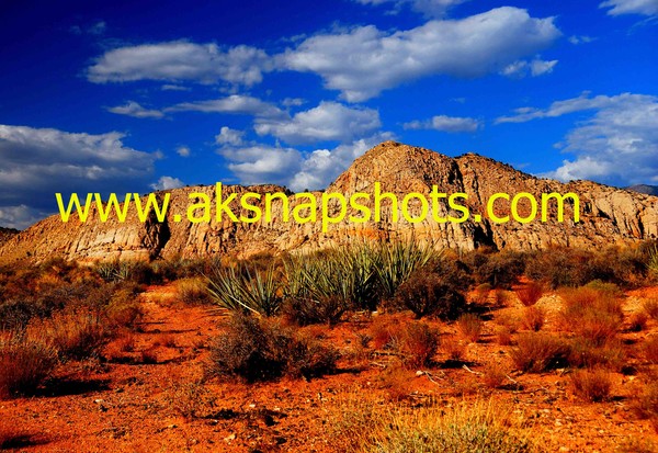 snow canyon Utah