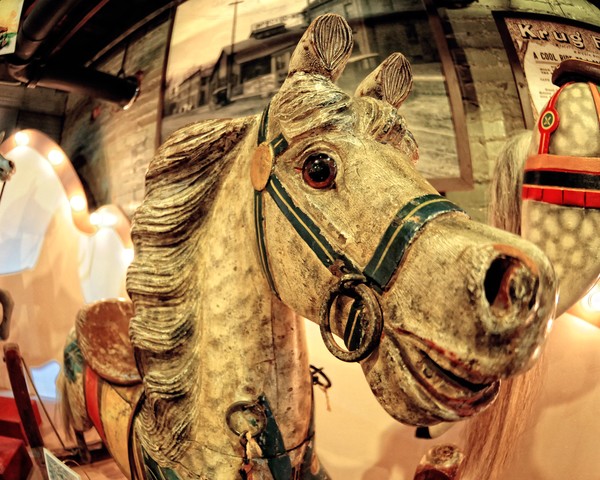 Wild Horses