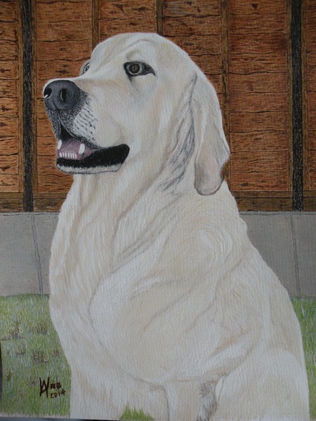Magical Merlin stepbrother of Oscar, sadly now dep