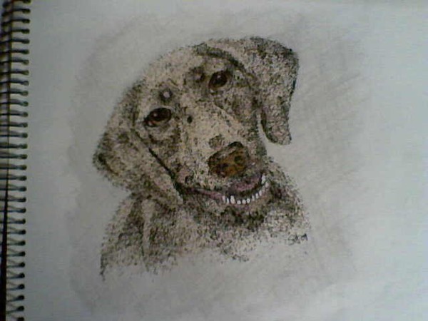 Lola