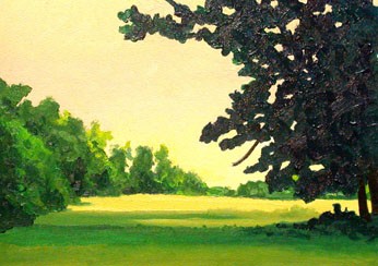 The High Meadow #4