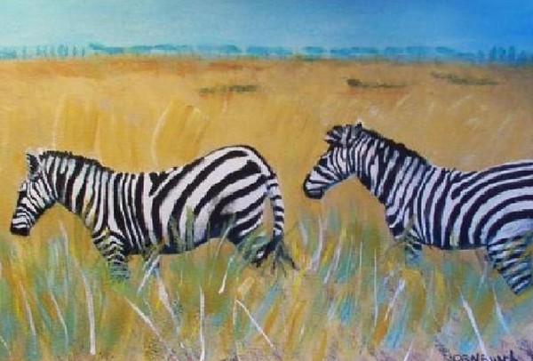 My Son’s Africa Zebra