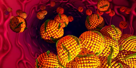 lipids
