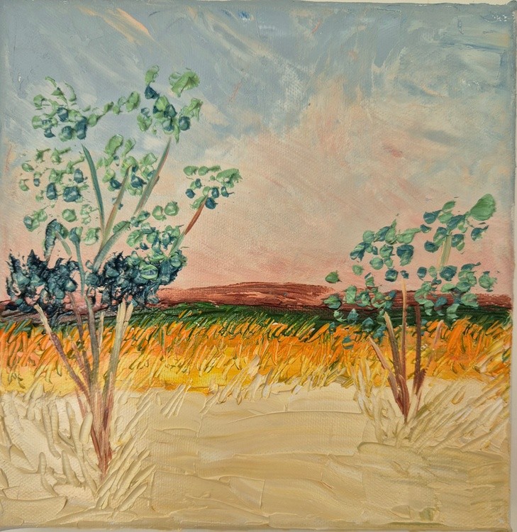 Yeruham, June 2025